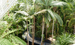 Terracottem soil conditioner at Adelaide Botanic Garden, Australia