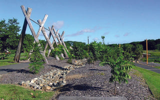 TerraCottem Soil Conditioner at Mackay Botanic Gardens Queensland Australia