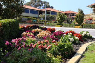 TerraCottem Soil Conditioner at Ocean Gardens Retirement Village in Western Australia