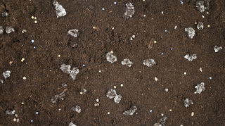 A close-up view of dark brown soil or compost with scattered small white, gray, and a few blue granules or chips throughout.