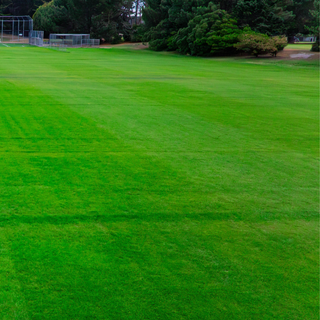 TerraCottem New Zealand New Brighton Cricket Club Christchurch